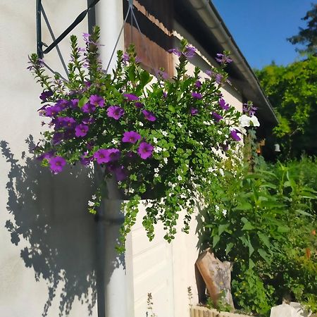 Appartement Logis51 à Ville-sur-Tourbe Extérieur photo