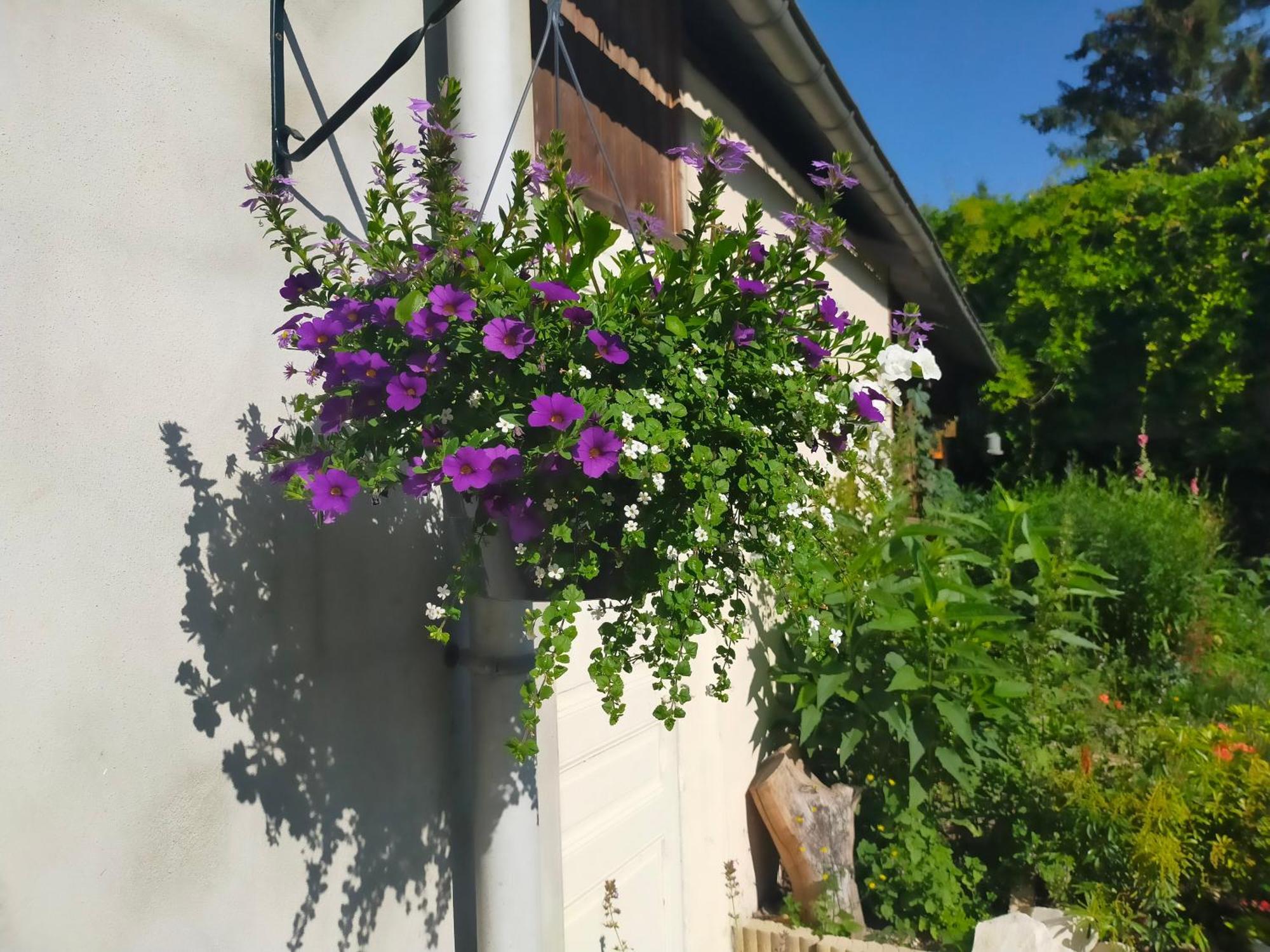 Appartement Logis51 à Ville-sur-Tourbe Extérieur photo