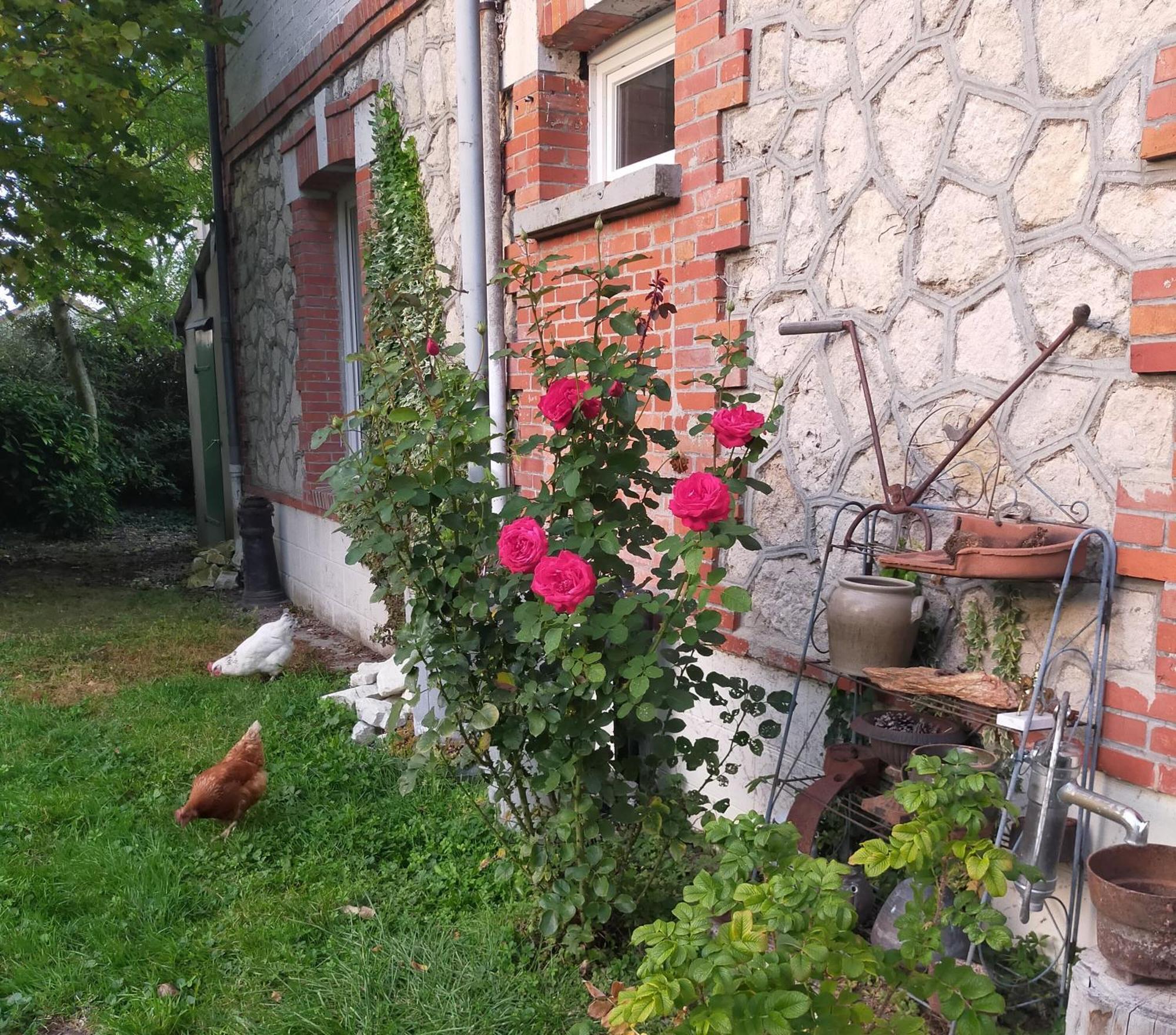 Appartement Logis51 à Ville-sur-Tourbe Extérieur photo